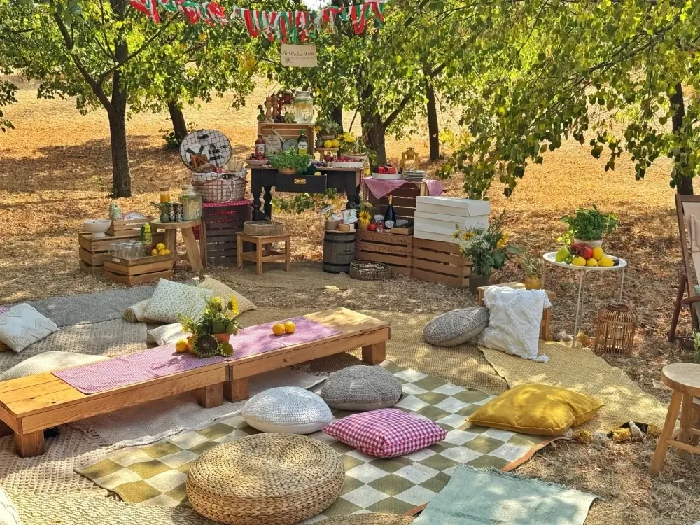 Piknik na míru