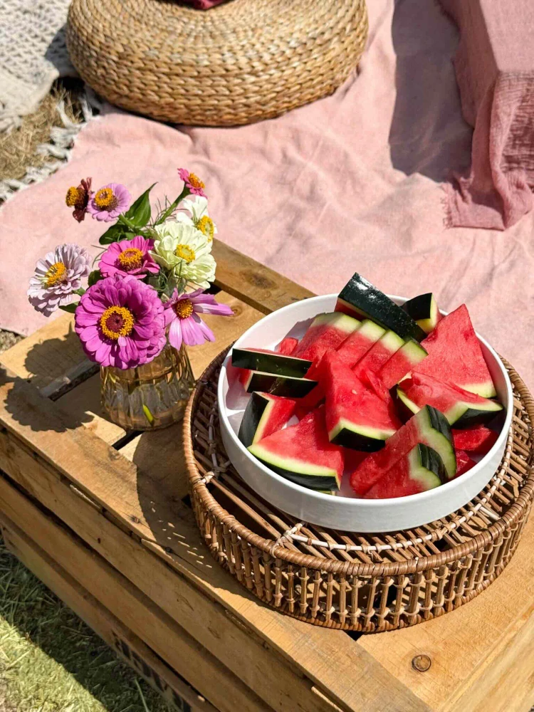 Piknik jako oslava
